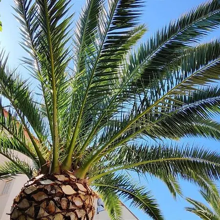 Διαμέρισμα La Marina By Costa *