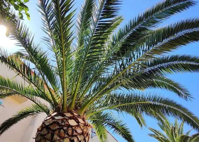 Διαμέρισμα La Marina By Costa *